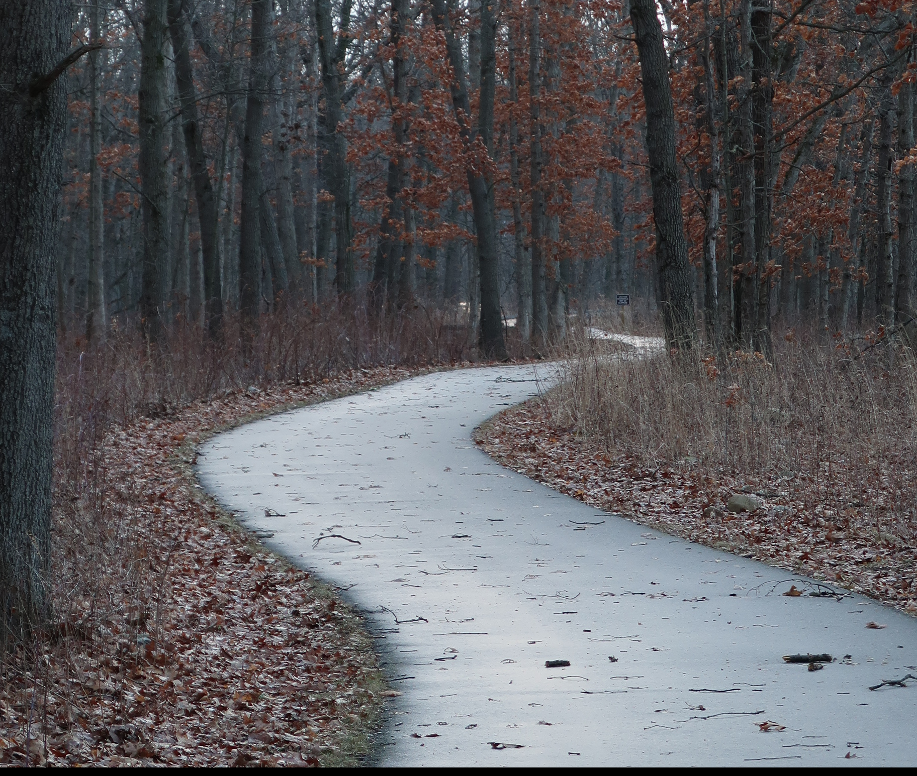 The first step on a new path … – Dreams, Designs and Destinations